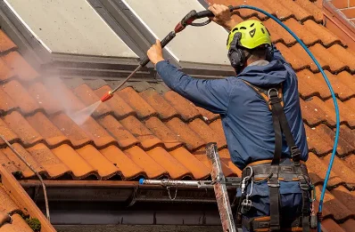Démoussage et hydrofuge de toiture à Hondschoote